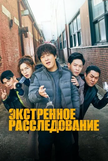 Экстренное расследование (2020) онлайн бесплатно
